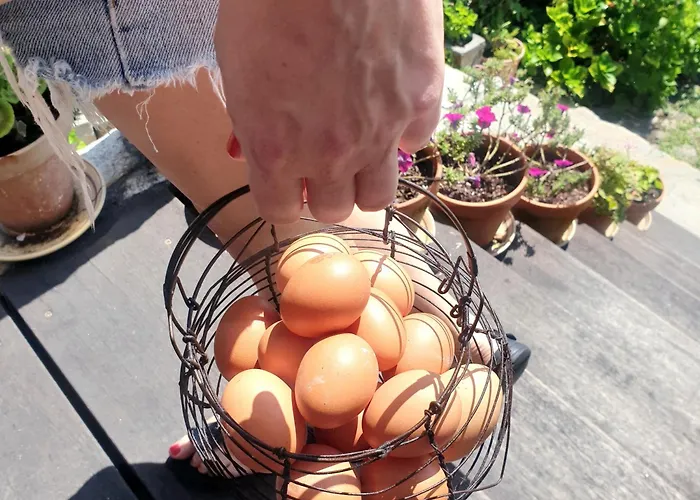 Prázdninový dům Canto Da Area *