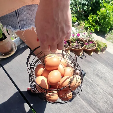 Semesterbostad Canto Da Area *