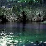 Canto Da Area * فينيستيري